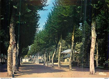 CPM Mazamet (Tarn) Le Jardin public