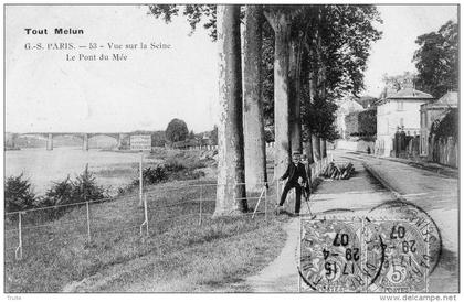 TOUT MELUN  VUE SUR LA SEINE LE PONT DU MEE