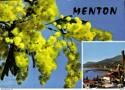 CPM Menton Souvenir de Menton