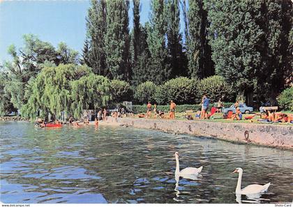 74 MESSERY PLAGE DE MESSERY