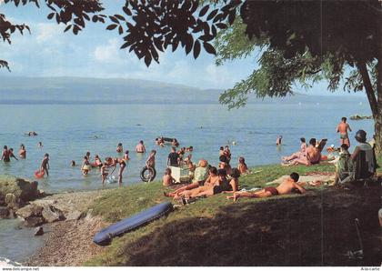 74 MESSERY SUR LE LEMAN