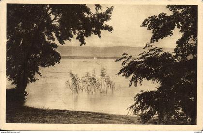 CPA Bord du Lac Leman Messery Hte Savoie