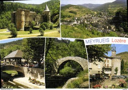 CPM Dans les Gorges de la Jonte Meyrueis
