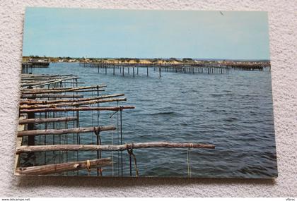 Cpm, Meze, vue sur les parcs, Hérault 34