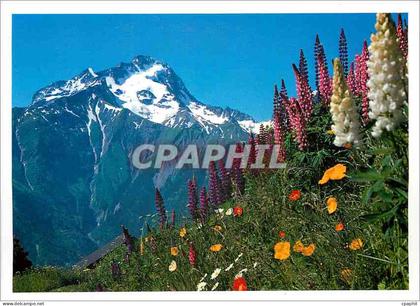 CPM Soleil et Montagne La Muzelle
