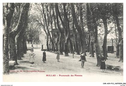 CAR-ACHP12-0763-66 - MILLAS - Promenade des platanes