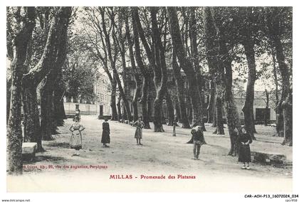 CAR-ACHP13-0834-66 - MILLAS - Promenade des platanes