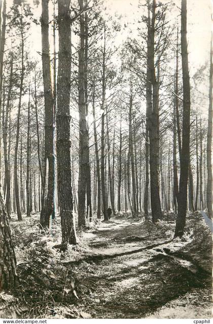 CPA Mimizan Plage Landes La foret de plus