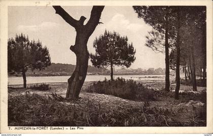 CPA Mimizan la Foret Les Pins
