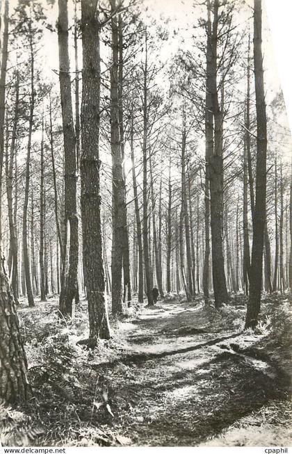 CPA Mimizan plage Landes la foret de pins