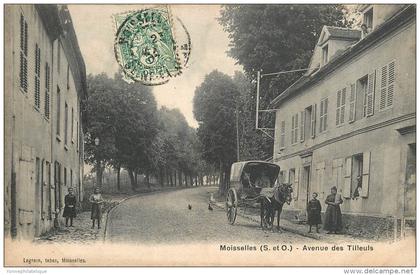 95 - MOISSELLES - avenue des Tilleuls