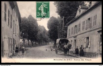 95 - MOISSELLES -- Avenue des Tilleuls