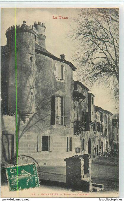17543 - MONESTIES - TOUR DU CHATEAU