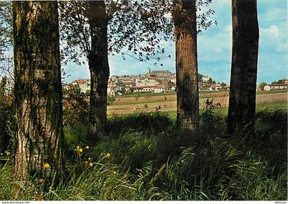 Carte Postale - 47 - Monflanquin - Vue Générale à travers les arbres - CPM - Voir Scans Recto-Verso - Poscard - Carta Po