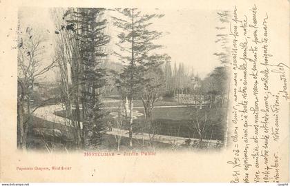 CPA Montelimar Jardin Public (carte 1900)