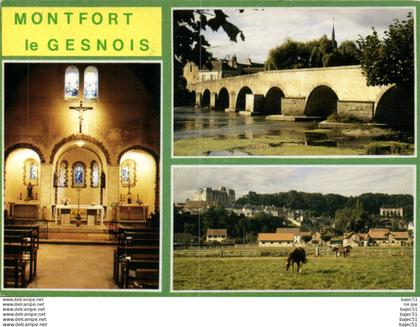 Montfort le Gesnois "multi vues"