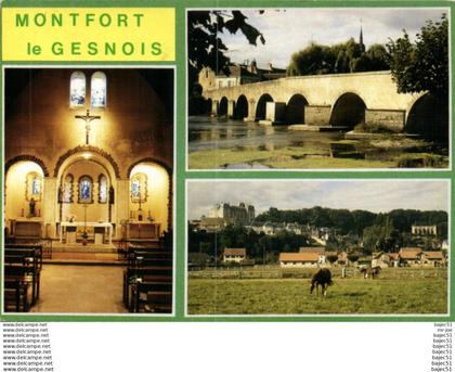 Montfort le Gesnois "multi vues"