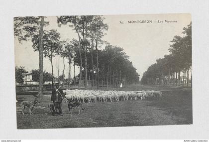 CPA Montgeron. Berger et ses moutons - Non Voyagée
