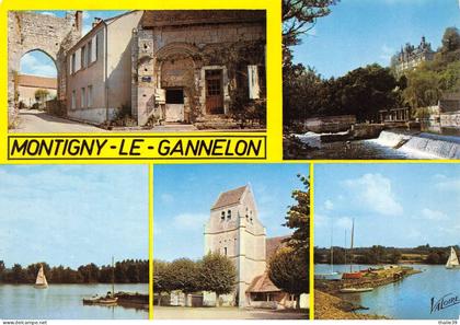 Montigny le Gannelon canton Cloyes