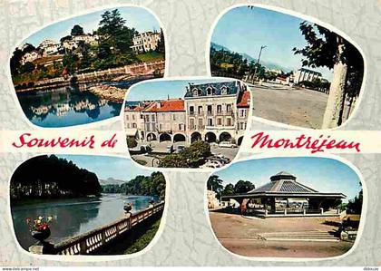 31 - Montrejeau - Multivues - CPM - Voir Scans Recto-Verso