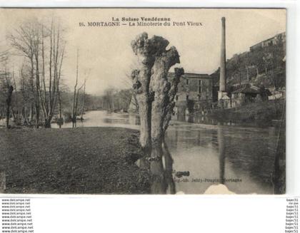 Mortagne sur sèvre