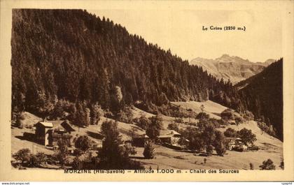 CPA Morzine Chalet des Sources