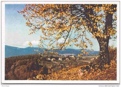 Das Münstertal - Hohrodberg