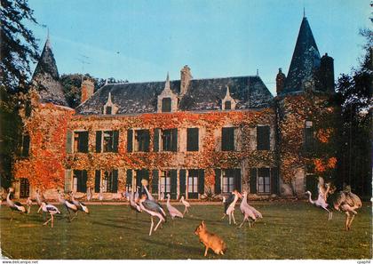 CPM Parc zoologique de branfere la guerno par Muzillac (Morbihan) le chateau