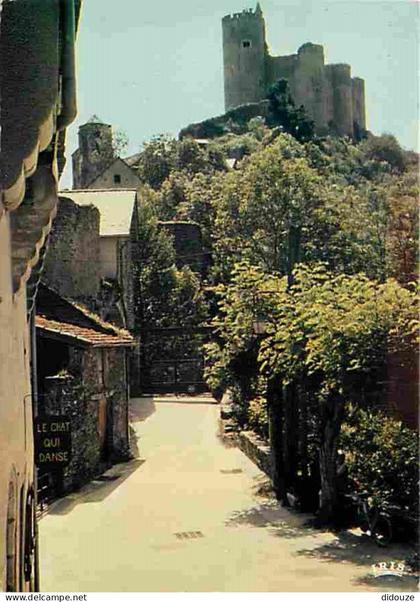 12 - Najac - Le Château - CPM - Voir Scans Recto-Verso