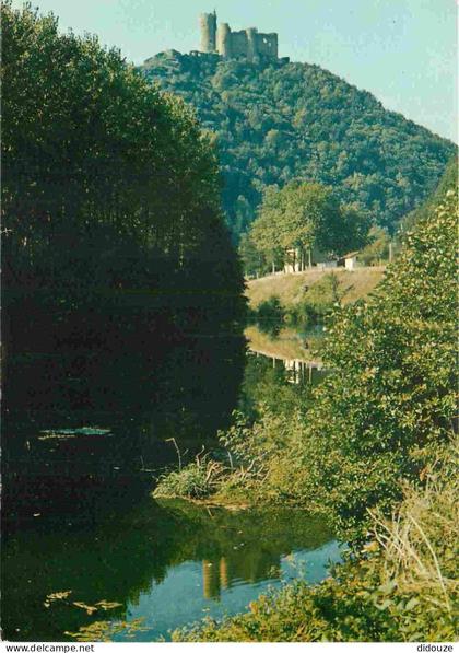 12 - Najac - Le Château - CPM - Voir Scans Recto-Verso