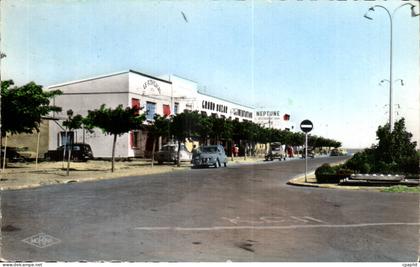 Narbonne - Plage - Aude -- CPA