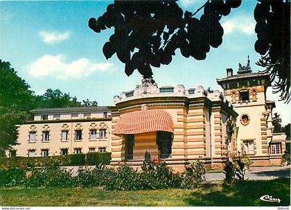 Carte Postale - 82 - Négrepelisse - Château de Longues Aygues - Fleurs - CPM - Voir Scans Recto-Verso - Poscard - Carta
