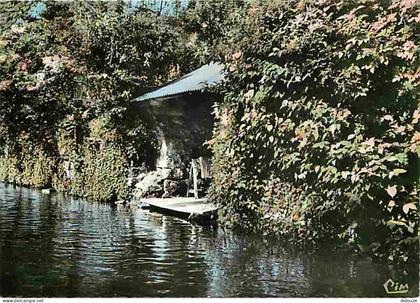 Carte Postale - 95 - Nesles la Vallée - Le Sausseron - Carte Neuve - CPM - Voir Scans Recto-Verso - Poscard - Carta Post