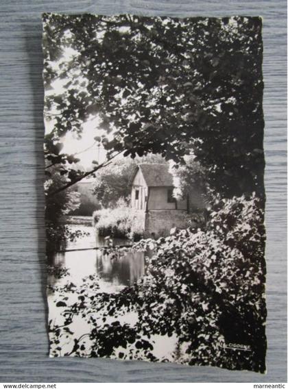 Cpa Neufchatel en Bray (76) un coin pittoresque de la Bethume