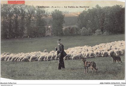 ABBP4-94-0351 - NOISEAU - la vallée du morbras