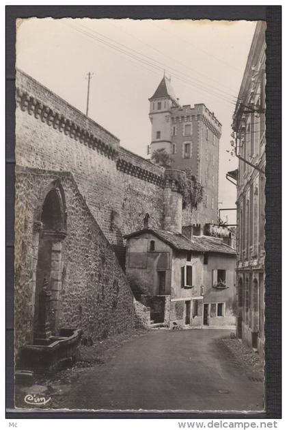 24 - Nontron (dordogne) - Donjon et Vieille Fontaine - carte photo