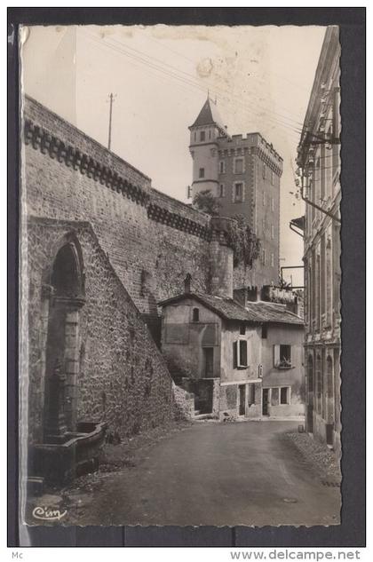 24 - Nontron (dordogne) - Donjon et Vieille Fontaine - carte photo