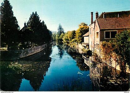 Carte Postale - 89 - Noyers sur Serein - Les rivages du Serein - Carte Neuve - CPM - Voir Scans Recto-Verso - Poscard -