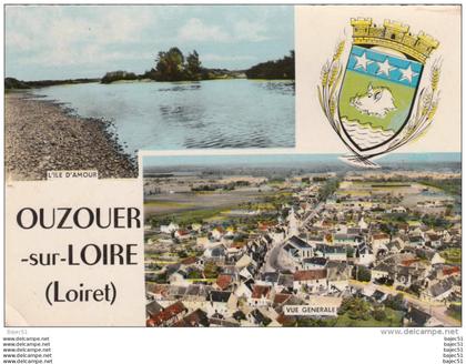1 cpsm Ouzouer sur Loire