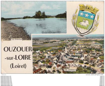 1 cpsm Ouzouer sur Loire