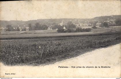 CPA Palaiseau Vue Prise Du Chemin De La Breteche
