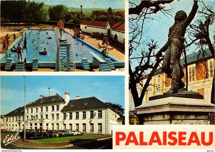 CPM Souvenir du Palaiseau FRANCE (1377388)