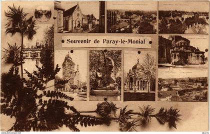 CPA PARAY-le-MONIAL - Souvenir de PARAY-le-MONIAL - Scenes (386599)