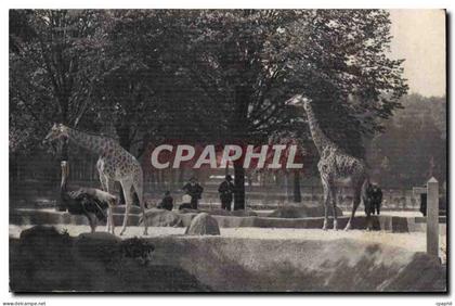 Paris - 12 - Paris Zoologique - Bois de Vincennes - National d'Histoire Naturelle - CPA