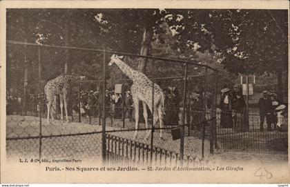 Paris - 16 - Jardin d'Acclimation - Bois de Boulogne - Les Girafes - Giraffe CPA -