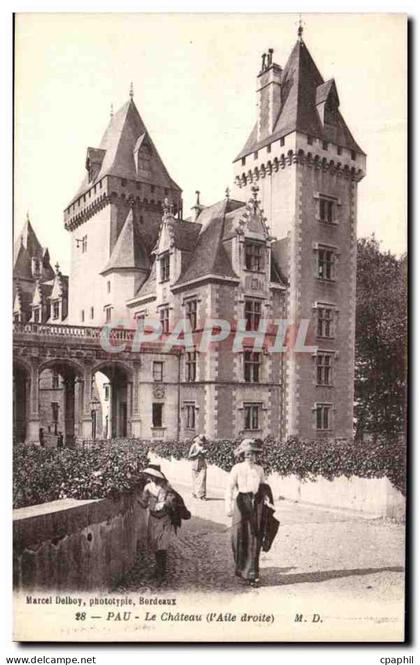 CPA Pau Le Chateau
