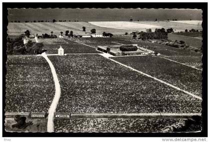 33 Pauillac domaine viticole vin chateau D33D K33314K C33314C RH067276