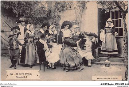 AHKP7-0675 - REGION - PAYS DE LA LOIRE - AU PAYS DU SEL - Maladroite /B
