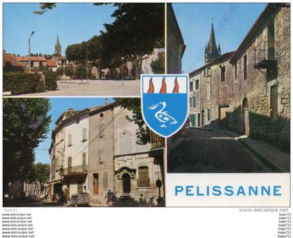 1 cpsm Pelissanne