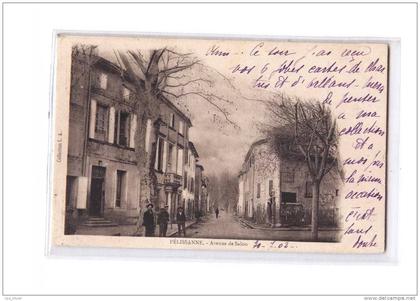 13 PELISSANNE Avenue de Salon, animée, ed LA, 1902